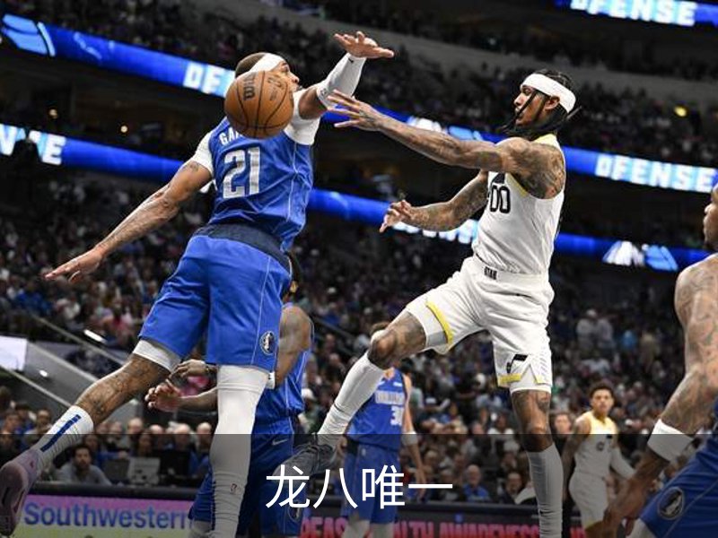 龙八唯一介绍